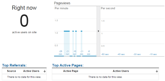 Testing Filtered View - Excluding IP Google Analytics